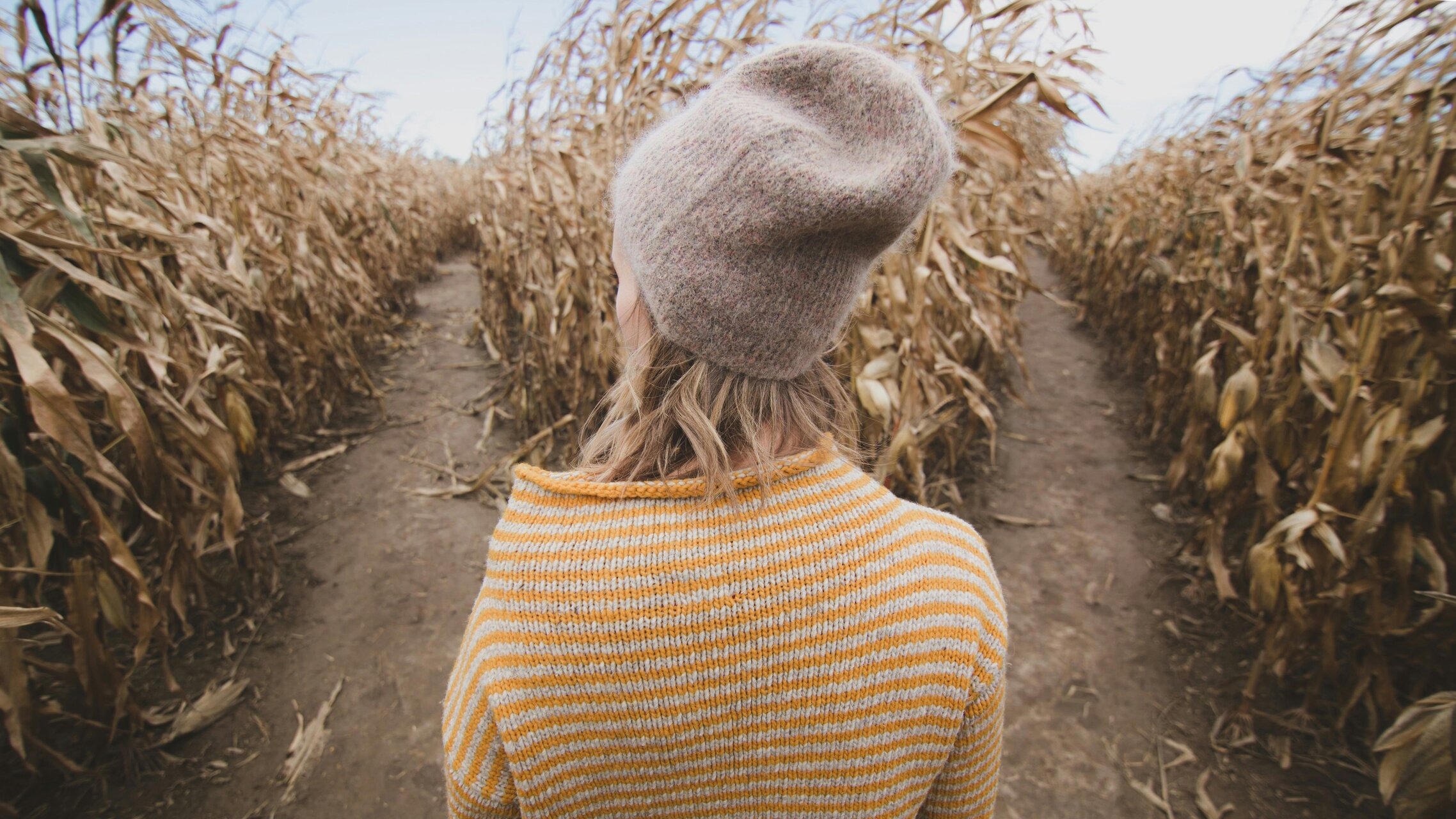 Junge Frau steht in einem Maisfeld vor einer Weggabelung | © Unsplash, Burst