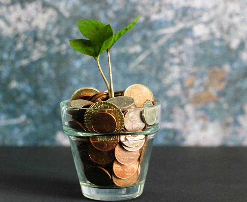 Eine Pflanze wächst aus einem Glas gefüllt mit Geld | © Micheile Henderson, Unsplash
