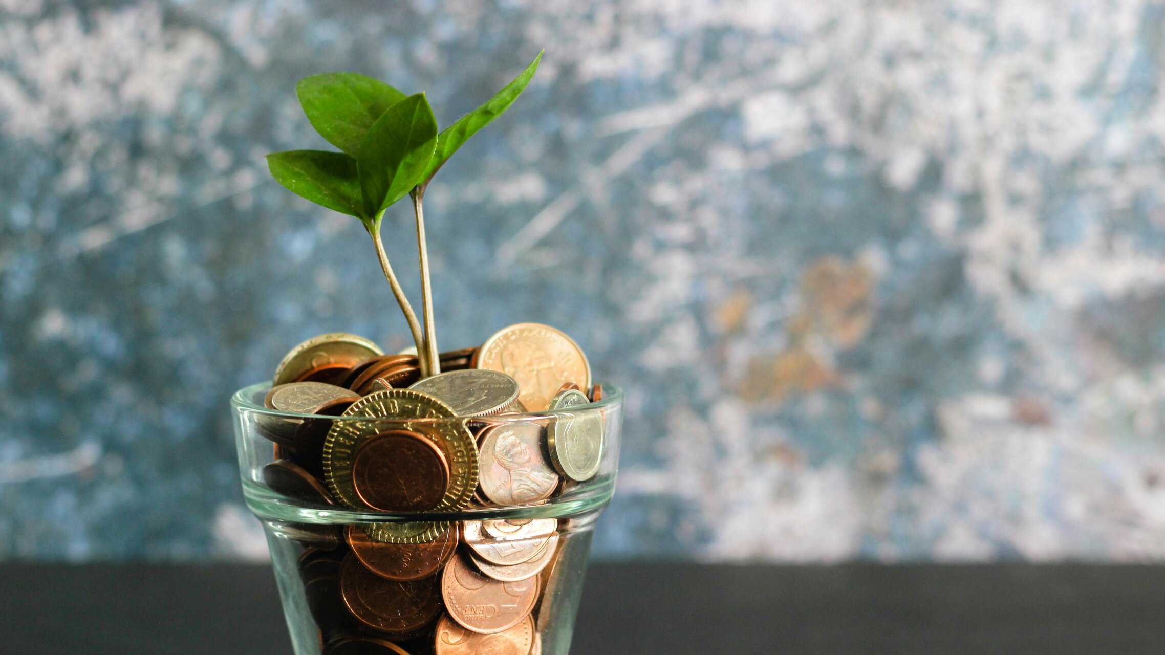Eine Pflanze wächst aus einem Glas gefüllt mit Geld | © Micheile Henderson, Unsplash